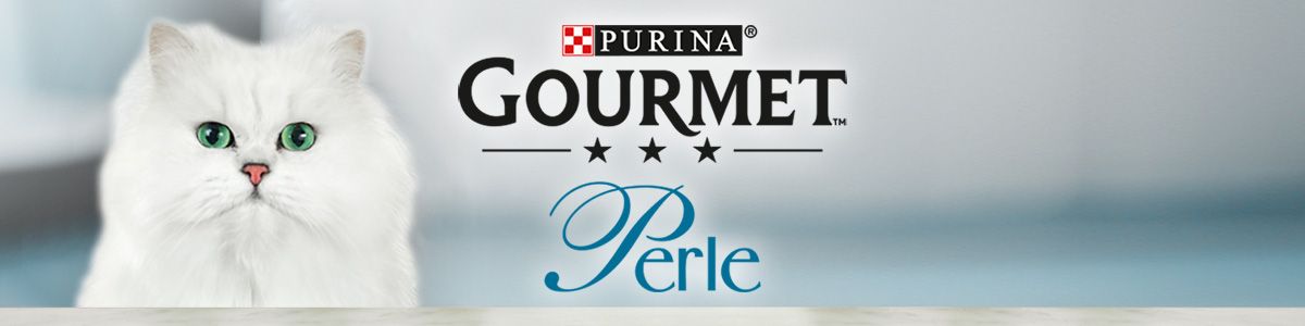 gourmet banner