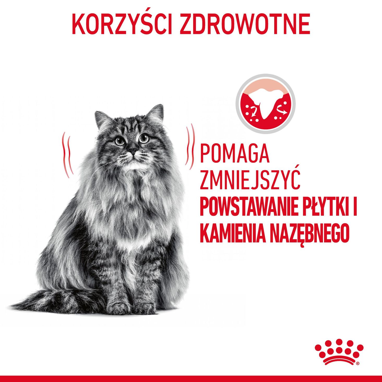 Dental Care- korzyści