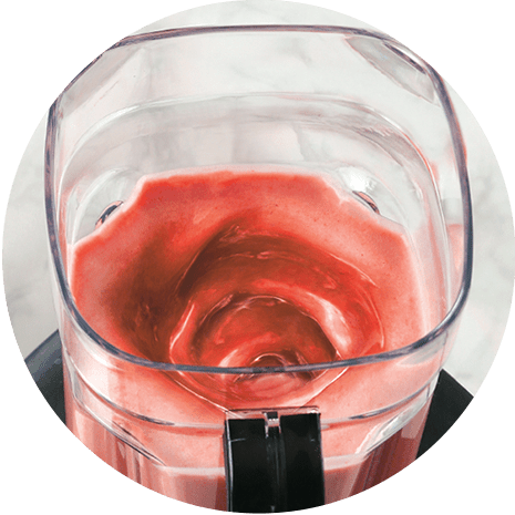 Blender próżniowy SV-500
