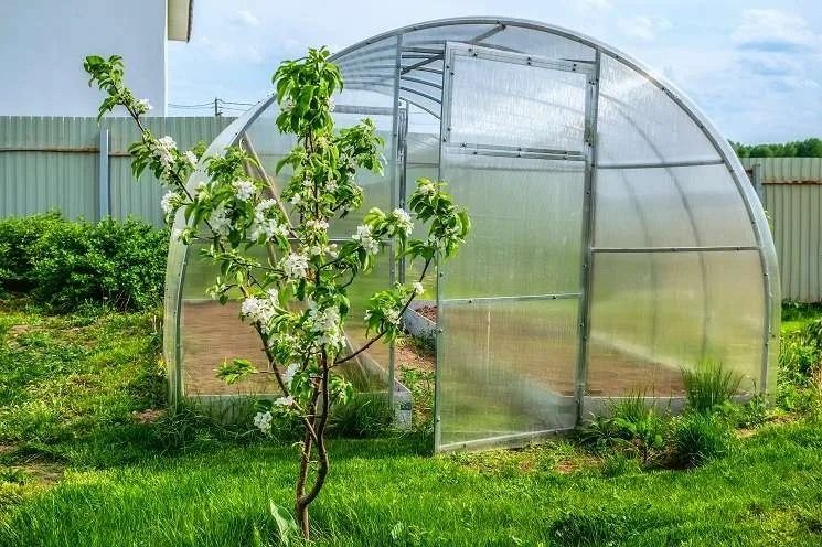 PoliPro Szklarnia Poliwęglan Stal Ocynkowana_produkt2