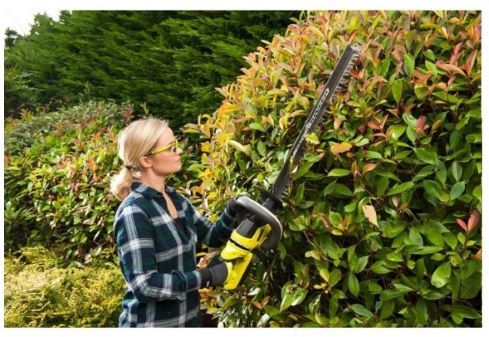 RYOBI Nożyce do żywopłotu RHT36C61R40F Specyfikacja: