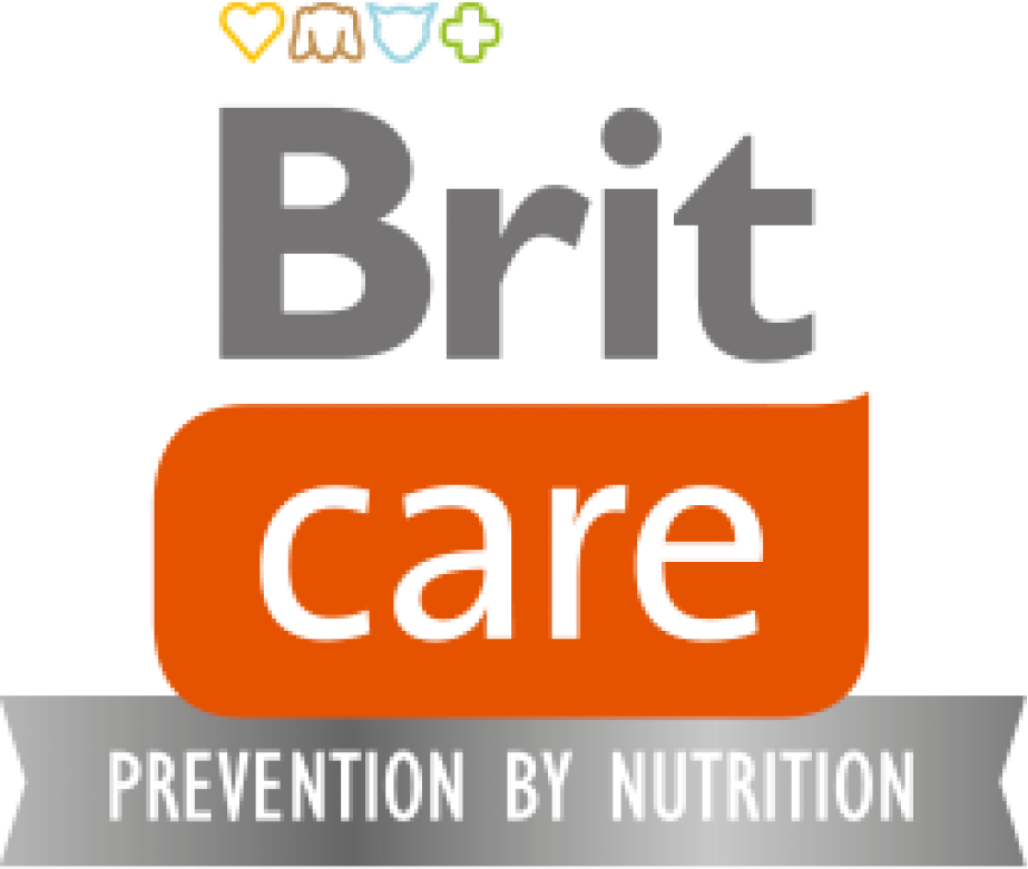 Brit care logo