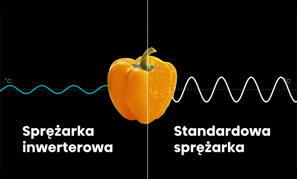 Hisense RM469N4ACE Sprężarka inwerterowa