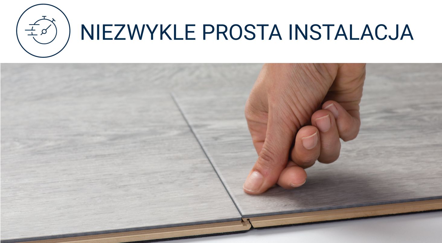 Acer odporność