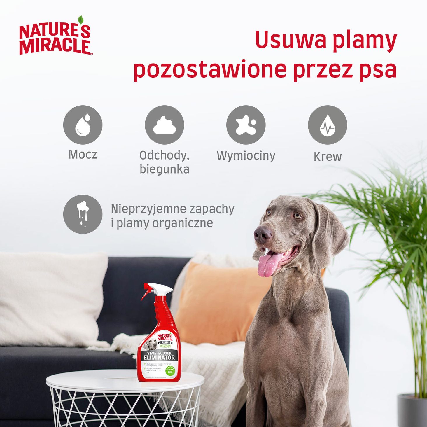 Nature-s-Miracle zdjęcie 2