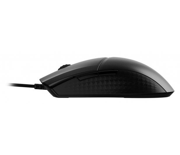 mysz