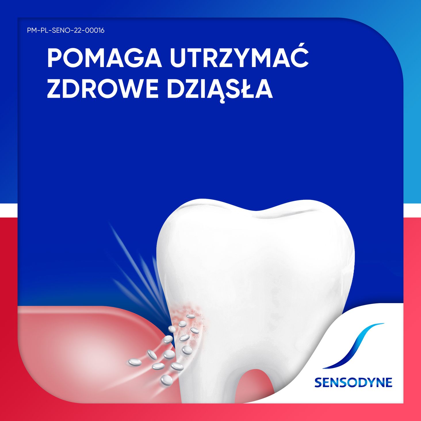 Sensodyne Nadwrażliwość i Dziąsła Caring Mint 75ml - 2