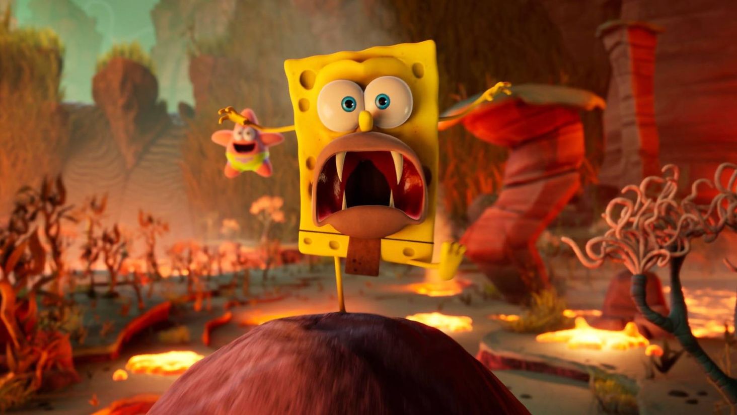 sponge