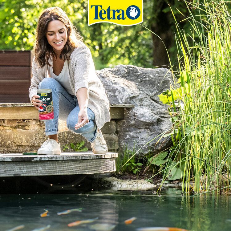 Tetra dawkowanie - 3