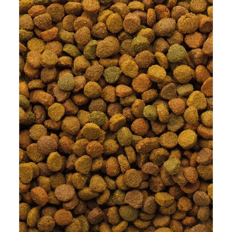 Versele Laga Classic Cat Variety 10kg
