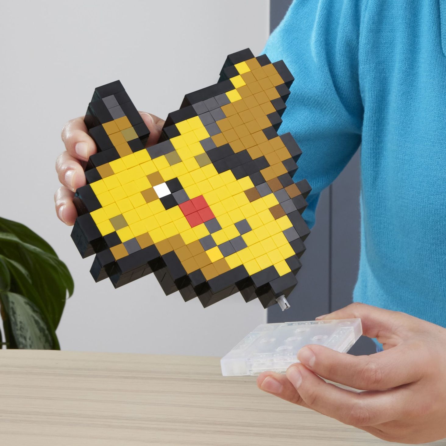 MEGA Pokémon 1