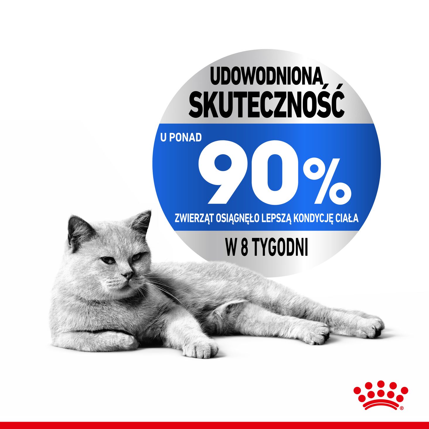 Royal Canin Light Weight Care-1