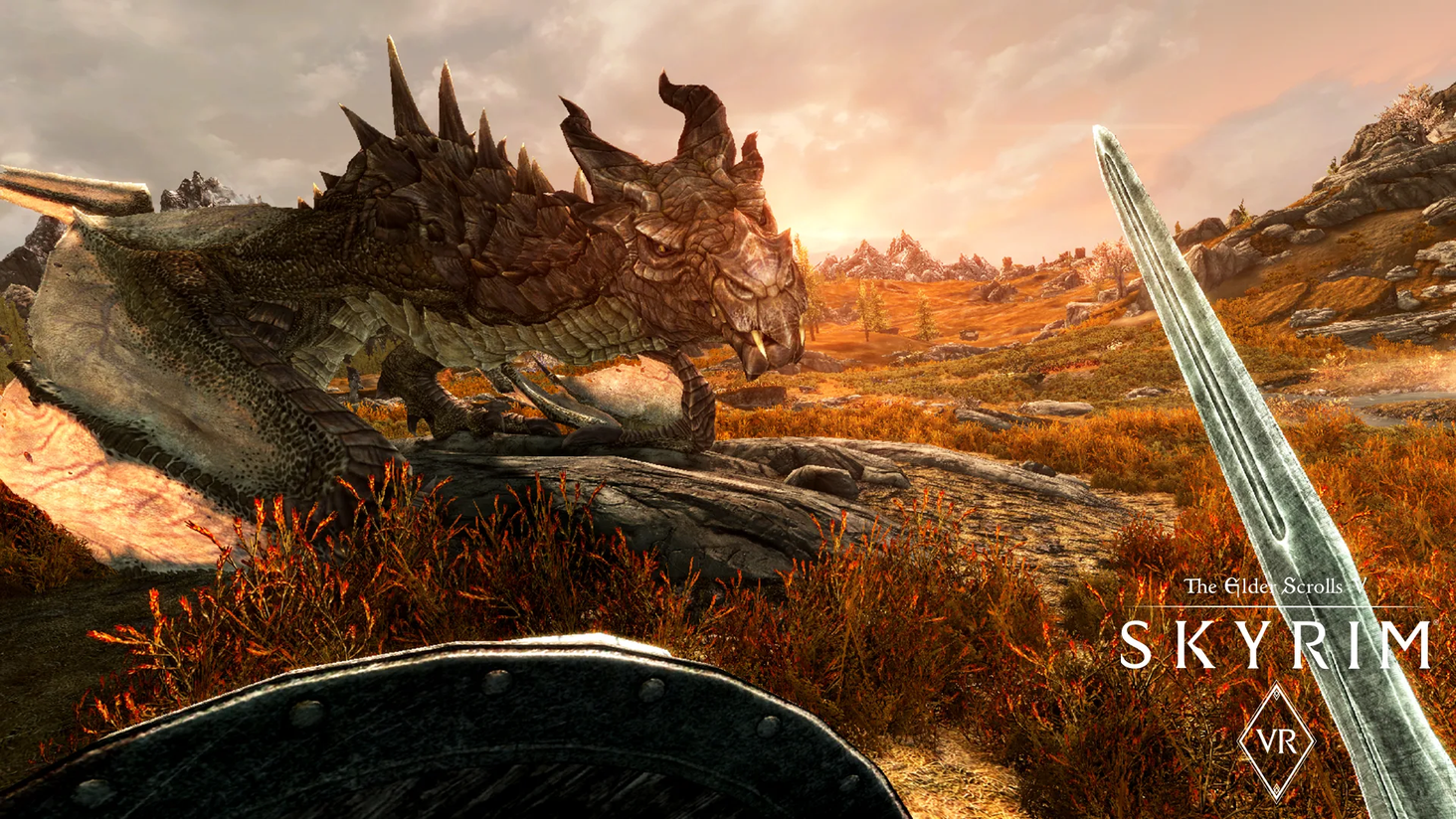Elder Scrolls V Skyrim VR