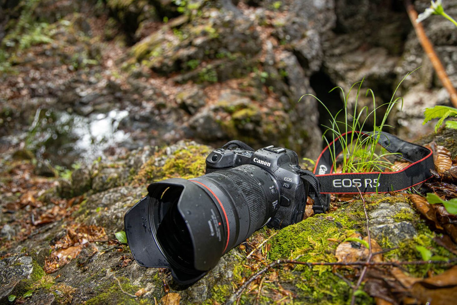 CANON EOS R5