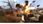 Gra na PC Far Cry 2 (Gra PC) - zdjęcie 5