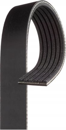 Pasek klinowy wielorowkowy 6PK1928 GATES - zdjęcie 2