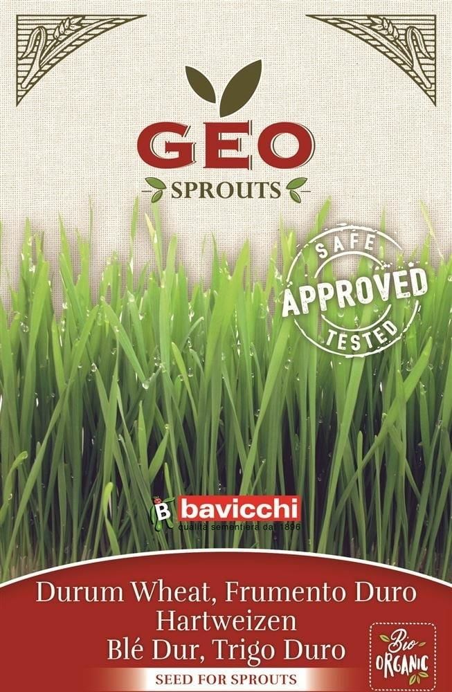 Zdjęcie Bavicchi Kiełki "pszenicy durum" bio ZCR0103 - Żukowo
