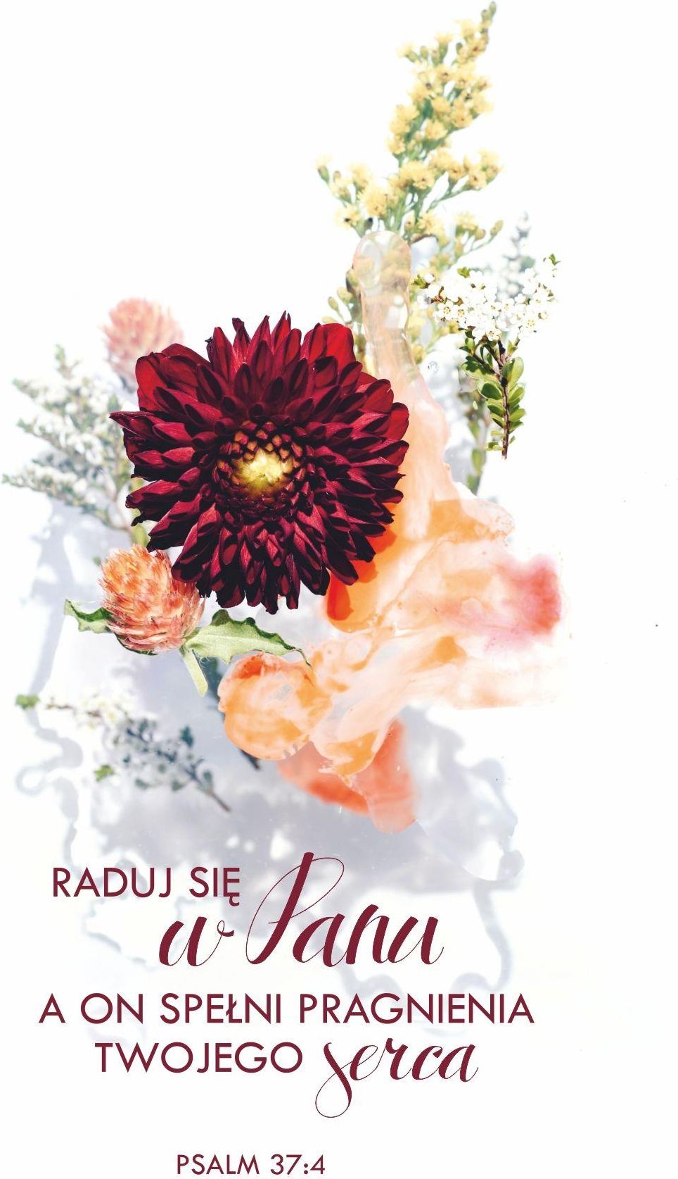 Zdjęcie Życie I Misja Kartka Okolicznościowa Z Kopertą Raduj Się W Panu - Rawa Mazowiecka