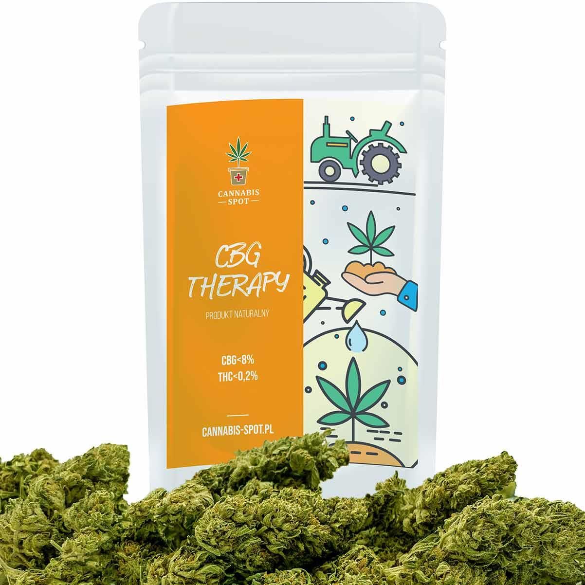 Preparat Medycyny Naturalnej Cannabis Spot Cbg Therapy Susz Konopny Cbg