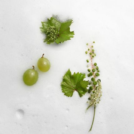 Caudalie Vinoclean Pianka Oczyszczająca Do Wszystkich Rodzajów Skóry 50Ml - zdjęcie 2