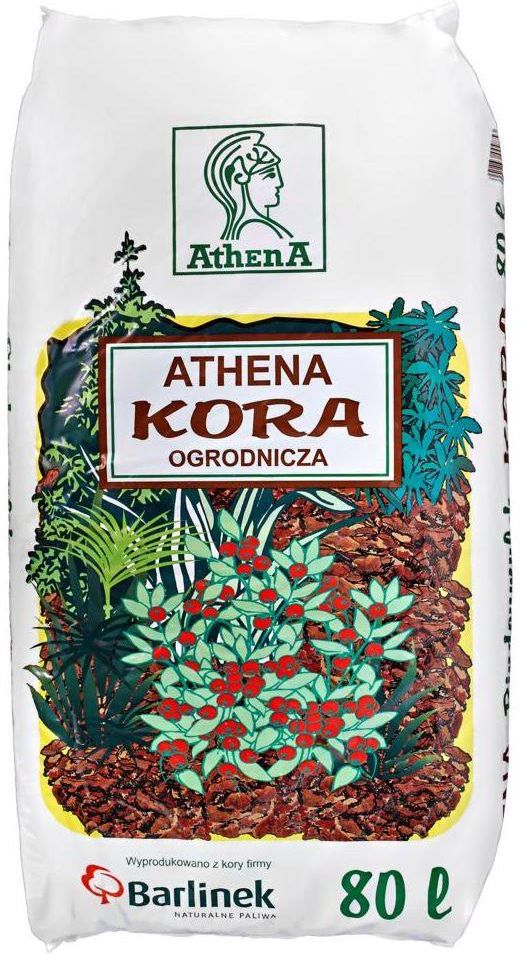 Zdjęcie Kora Sosnowa 80L Athena - Białystok