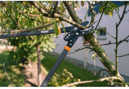 Sekator Do Gałęzi 'Bradas' V-Series Przekładniowy Kowadełkowy Cięcie 50Mm Kt-V1221 - zdjęcie 3