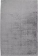 Zdjęcie Paradise Par 400 Silver 120X170Cm 100261333 - Czempiń