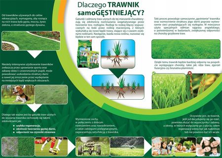 Nasiona trawy samo gęstniejącej 5kg Planta - zdjęcie 4