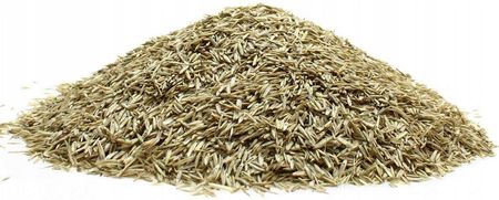 Trawa uniwersalna mieszanka 5 kg-Granum - zdjęcie 6