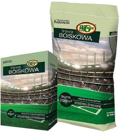 Trawa Boiskowa 1kg Wytrzymała Gęsta Darń - zdjęcie 5