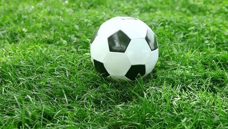 Trawa Boiskowa 1kg Wytrzymała Gęsta Darń - zdjęcie 2
