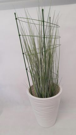 Podpora Pierścieniowa Do Roślin 75cm - zdjęcie 5