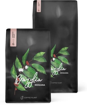COFFEE PLANT Brazylia Mogiana Kawa ziarnista 1kg - zdjęcie 2