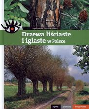 Drzewa liściaste i iglaste w Polsce - zdjęcie 1