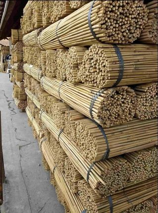 Shumee Dixiestore Tyczki Bambusowe 180 Cm 12/14 Mm /100 Szt/ Bambus 94 - zdjęcie 5