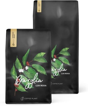 COFFEE PLANT Brazylia Lua Roxa Kawa ziarnista 1kg - zdjęcie 3