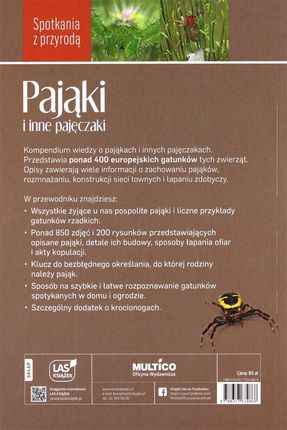 Pająki i inne pajęczaki. Spotkania z przyrodą - zdjęcie 2