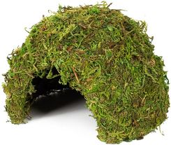 Zdjęcie Repti-Zoo Natural Mossy Dome M Kryjówka Z Mchu - Oświęcim