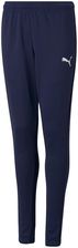 Zdjęcie Puma Spodnie Dla Dzieci Teamrise Poly Training Pants Jr Granatowe 657391 06 - Kłobuck