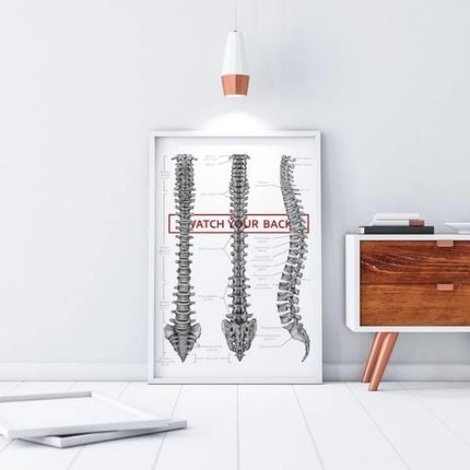Marta Pawelec Plakat Anatomiczny Kręgosłup Watch Your Back - zdjęcie 5