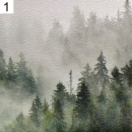 Ceso Fototapeta Most Rędziński We Wrocławiu 208x146 - zdjęcie 5