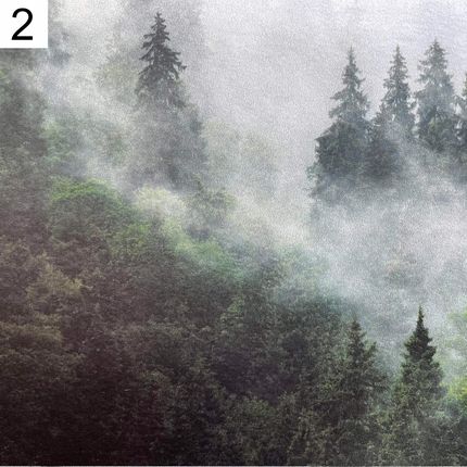 Ceso Fototapeta Most Rędziński We Wrocławiu 208x146 - zdjęcie 3