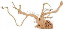 Zdjęcie Zolux Korzeń Spider Wood 50-60cm (356053) - Podkowa Leśna