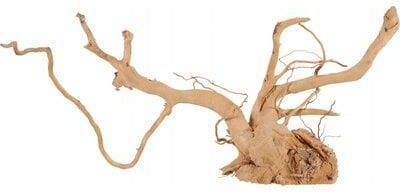 Zdjęcie Zolux Korzeń Spider Wood 50-60cm (356053) - Podkowa Leśna