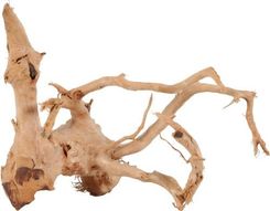 Zdjęcie Zolux Korzeń Spider Wood 10-30cm (356050) - Stargard