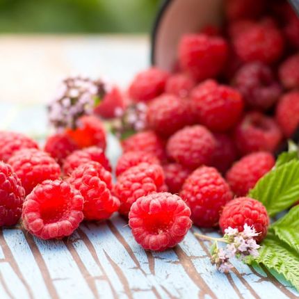 Kubara Mini Batoniki Z Nerkowców A'La Tarta Malinowa 6X17g Dobra Kaloria - zdjęcie 2
