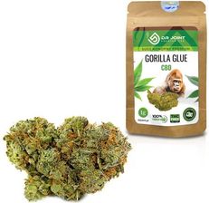 Preparat Medycyny Naturalnej Dr Joint Susz Konopny Gorilla Glue Cbd 1G