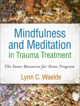 Mindfulness And Meditation In Trauma Treatment Literatura