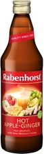 Zdjęcie NAPÓJ ZIMOWY NA CIEPŁO JABŁKO - IMBIR - MIÓD LIPOWY BIO 750 ml - RABENHORST - Wojcieszów