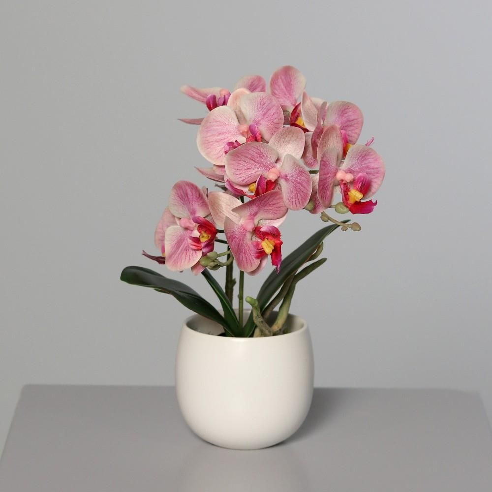 Tajemniczy Ogród Sztuczna Orchidea W Doniczce 22Cm Kolory 26865